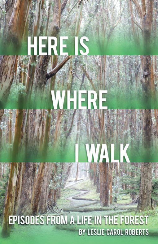Here is Where I Walk: Episodes From a Life in the Forest