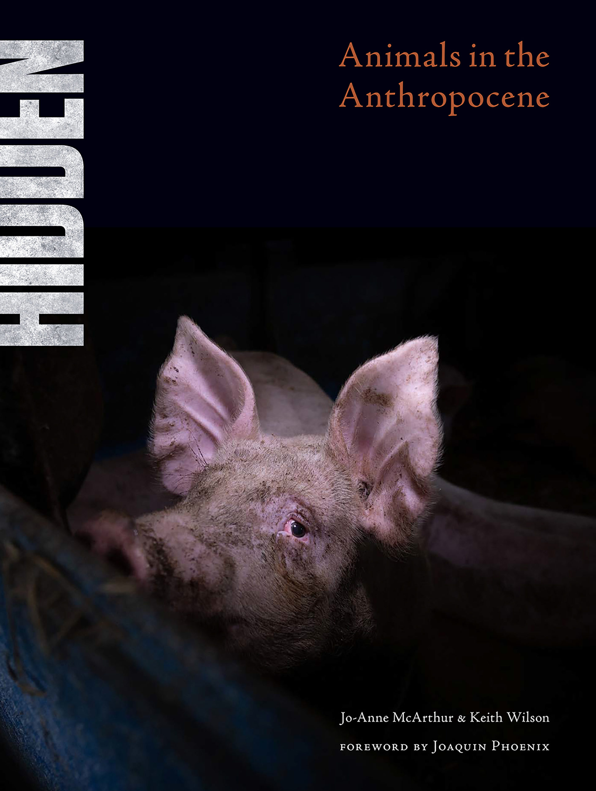 Hidden: Animals in the Anthropocene