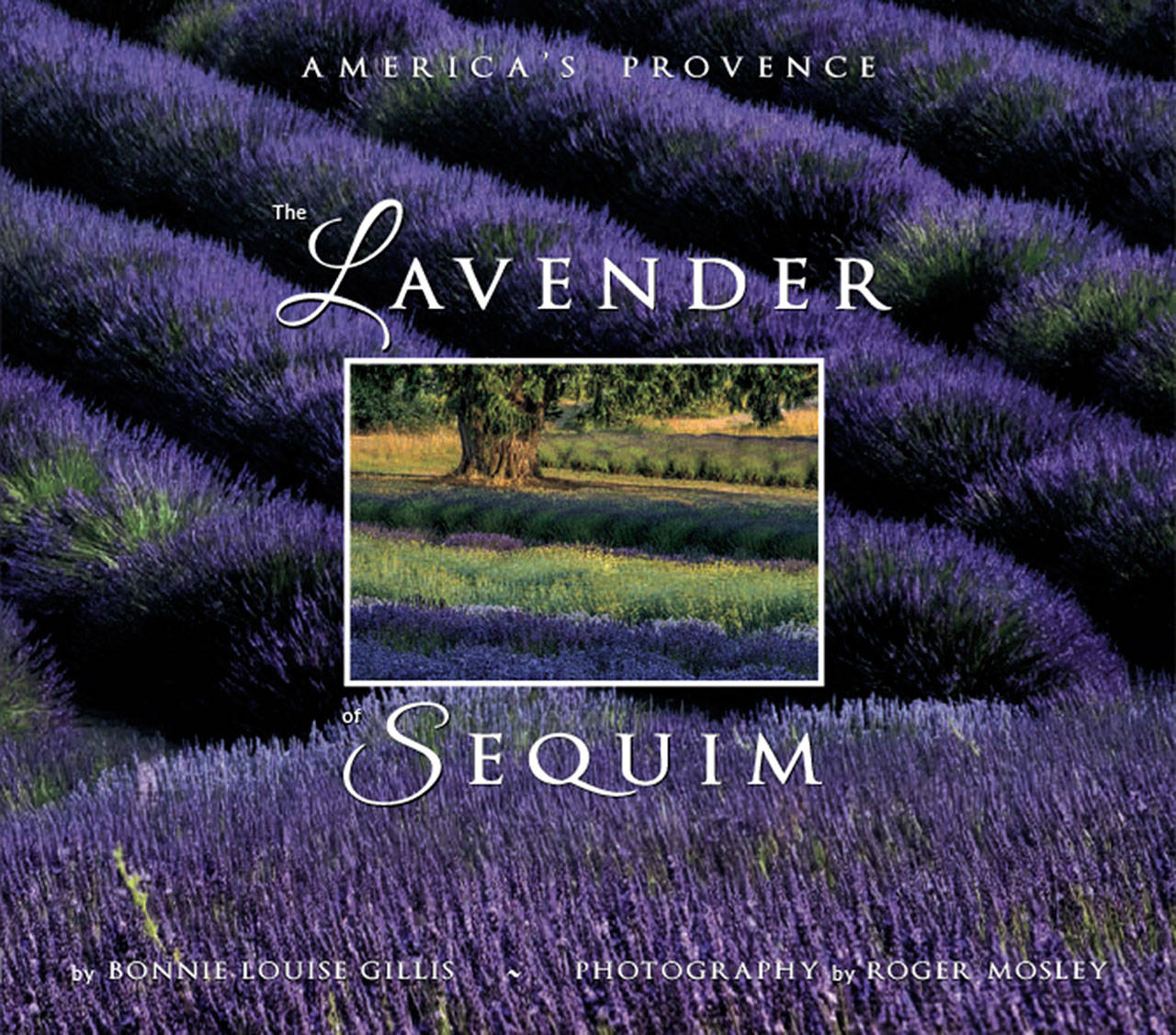 The Lavender of Sequim: America's Provence