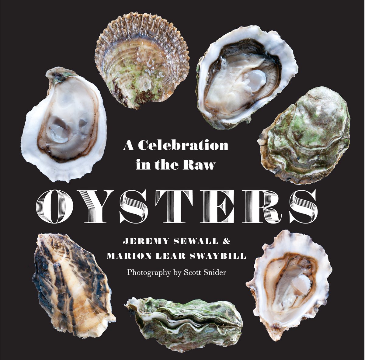 Oysters : A Celebration in the Raw