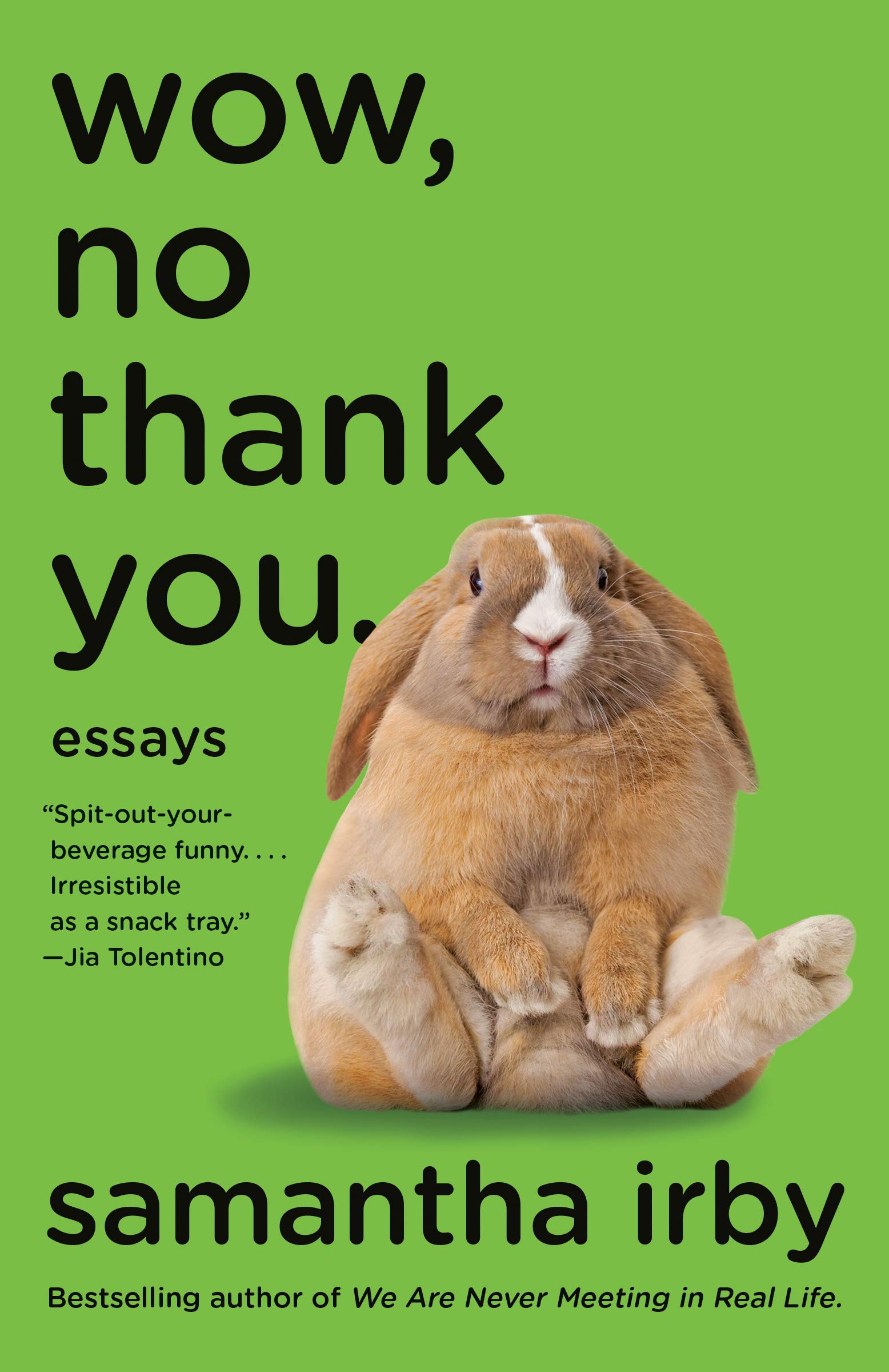 Wow, No Thank You: Essays